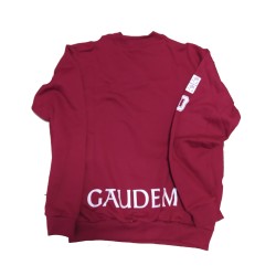 Sudadera Décimo Aniversario Secundaria