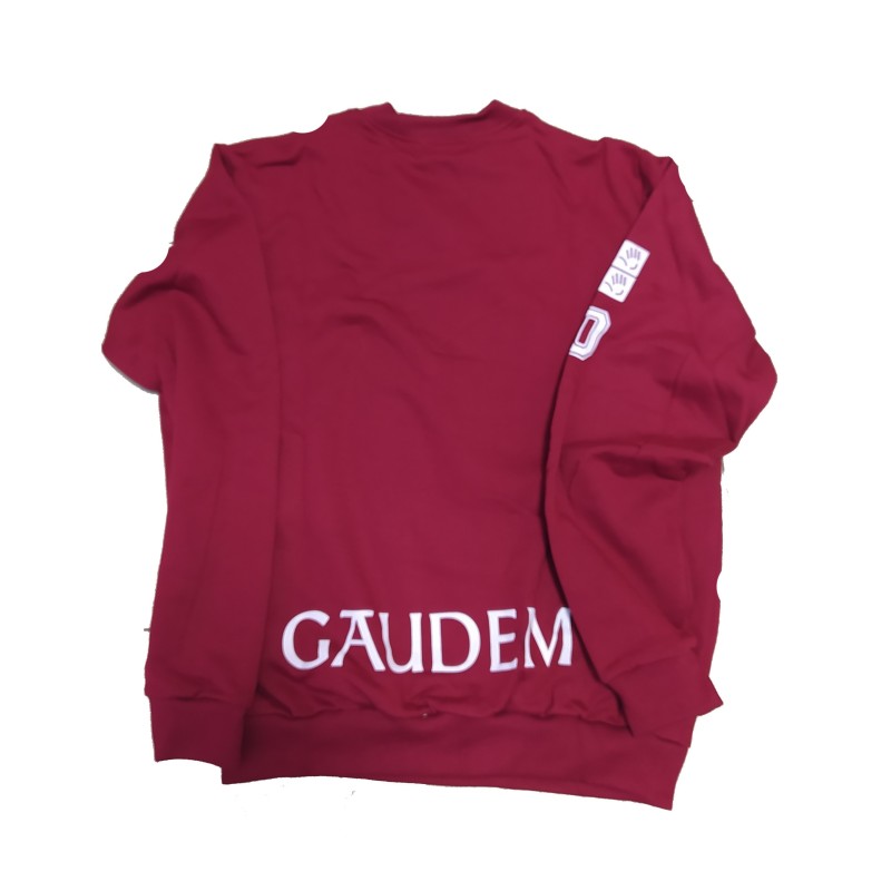 Sudadera Décimo Aniversario Secundaria