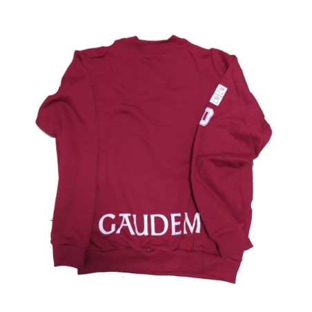 Sudadera Décimo Aniversario Secundaria