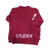 Sudadera Décimo Aniversario Secundaria